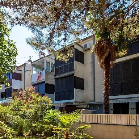 Rona Zizi * ポレッチ