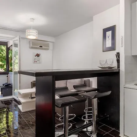 Apartment Rona Zizi